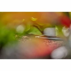 GARDENA 13212-20, Connexion -Boutique GARDENA GARDENA 13212 20 Connexion@@1890311 4