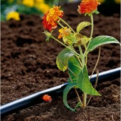 GARDENA 1340-20 Système D'irrigation Goutte-à-goutte 2 L/h Orange Montage En Fin De Ligne, Goutteurs -Boutique GARDENA GARDENA 1340 20 syst me d irrigation goutte goutte 2 l h Orange Montage en fin de ligne Goutteurs@@1213371 3